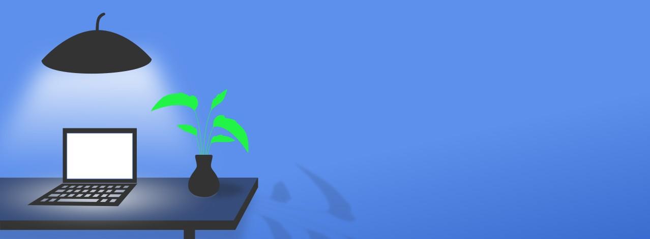 Custom Coded Themes & Lightning Fast Web Apps